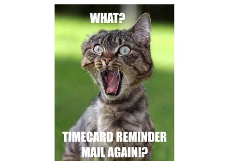 Funny timesheet reminder images. Things To Know About Funny timesheet reminder images. 